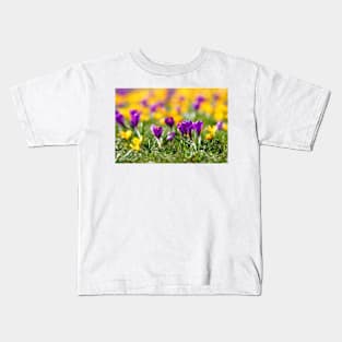 Meadow full of yellow and purple crocuses Kids T-Shirt